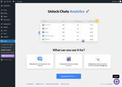 Page screenshot: Chaty &rarr; Widget Analytics