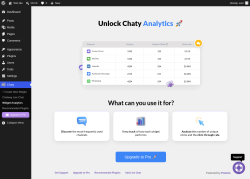 Page screenshot: Chaty &rarr; Widget Analytics