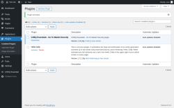Page screenshot: Plugins &lsaquo; Test site &mdash; WordPress
