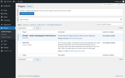Page screenshot: Plugins ‹ Test site — WordPress