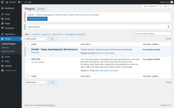 Page screenshot: Plugins ‹ Test site — WordPress