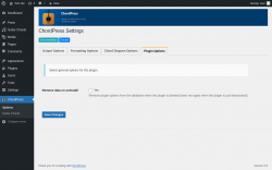 Page screenshot: ChordPress → Plugin Options