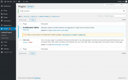 Page screenshot: Plugins &lsaquo; Test site &mdash; WordPress