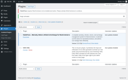Page screenshot: Plugins &lsaquo; Test site &mdash; WordPress