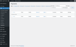 Page screenshot: Clasify Classified → Payments