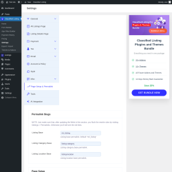 Page screenshot: Classified Listing → Settings → Page Setup & Permalink