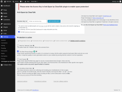 Page screenshot: Settings &rarr; Anti-Spam by CleanTalk