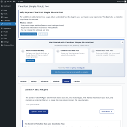Page screenshot: AI Auto Post &rarr; 
				Context			