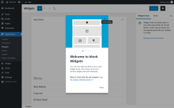 Page screenshot: Widgets ‹ Test site — WordPress