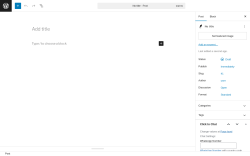 Page screenshot: Add Post ‹ Test site — WordPress