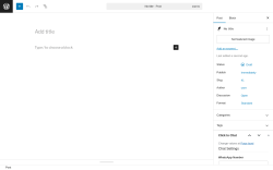 Page screenshot: Add Post ‹ Test site — WordPress