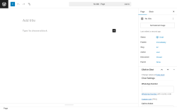 Page screenshot: Add Page ‹ Test site — WordPress
