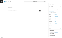 Page screenshot: Add Post &lsaquo; Test site &mdash; WordPress