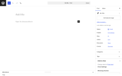 Page screenshot: Add Post &lsaquo; Test site &mdash; WordPress