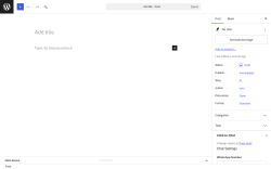 Page screenshot: Add Post &lsaquo; Test site &mdash; WordPress