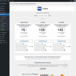 Page screenshot: Clielo &rarr; Upgrade&nbsp;&nbsp;➤