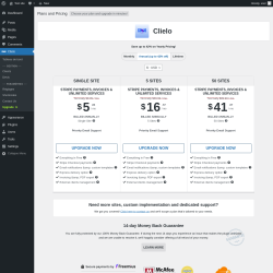 Page screenshot: Clielo &rarr; Upgrade&nbsp;&nbsp;➤