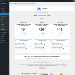 Page screenshot: Clielo &rarr; Upgrade&nbsp;&nbsp;➤