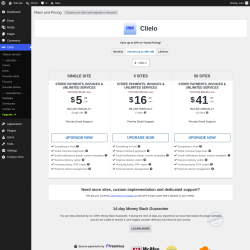 Page screenshot: Clielo &rarr; Upgrade&nbsp;&nbsp;➤