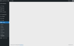 Page screenshot: Settings &rarr; Cloudflare