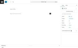 Page screenshot: Add Page &lsaquo; Test site &mdash; WordPress