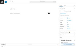 Page screenshot: Add Post &lsaquo; Test site &mdash; WordPress
