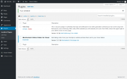 Page screenshot: Plugins &lsaquo; Test site &mdash; WordPress