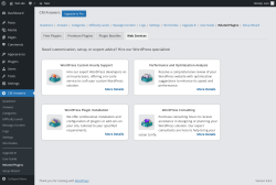 Page screenshot: CM Answers → Related Plugins → Web Services