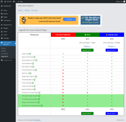Page screenshot: CM Custom Reports &rarr; Upgrade&nbsp;➤