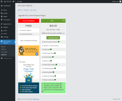 Page screenshot: CM Custom Reports &rarr; Upgrade&nbsp;➤