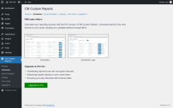 Page screenshot: CM Custom Reports &rarr; Schedules