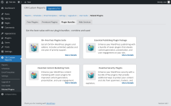 Page screenshot: CM Custom Reports &rarr; Related Plugins &rarr; Plugin Bundles