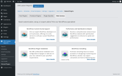 Page screenshot: CM Custom Reports &rarr; Related Plugins &rarr; Web Services