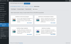 Page screenshot: CM E-Mail Registration Blacklist → Related Plugins → Web Services