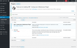 Page screenshot: Plugins &lsaquo; Test site &mdash; WordPress