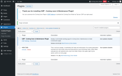 Page screenshot: Plugins &lsaquo; Test site &mdash; WordPress