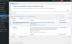 Page screenshot: Plugins &lsaquo; Test site &mdash; WordPress