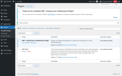 Page screenshot: Plugins &lsaquo; Test site &mdash; WordPress