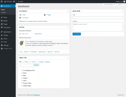 Page screenshot: Dashboard ‹ Test site — WordPress