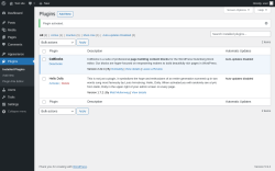 Page screenshot: Plugins &lsaquo; Test site &mdash; WordPress