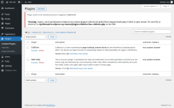 Page screenshot: Plugins &lsaquo; Test site &mdash; WordPress