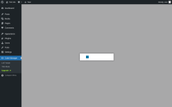 Page screenshot: Code Manager → Upgrade  ➤