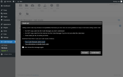Page screenshot: Code Manager → TAB Mode