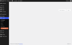 Page screenshot: Snippets