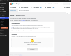 Page screenshot: Snippets &rarr; Import