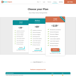 Page screenshot: Snippets &rarr; Styles css