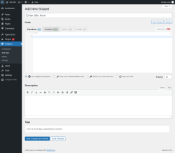 Page screenshot: Snippets &rarr; Add New