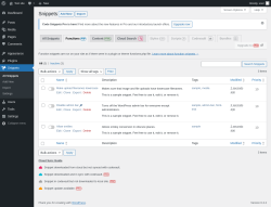 Page screenshot: Snippets &rarr; Functionsphp