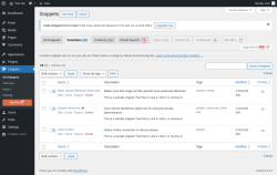 Page screenshot: Snippets &rarr; Functionsphp