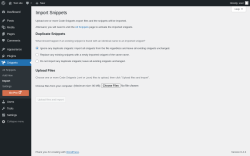 Page screenshot: Snippets &rarr; Import